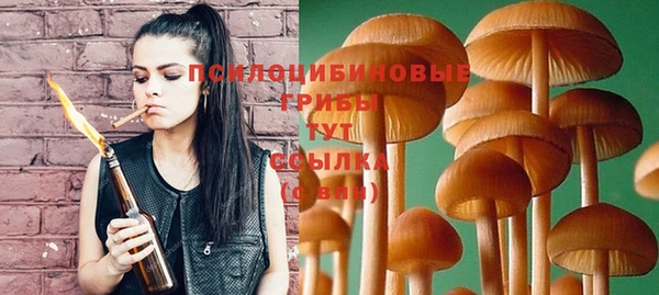 2c-b Киреевск